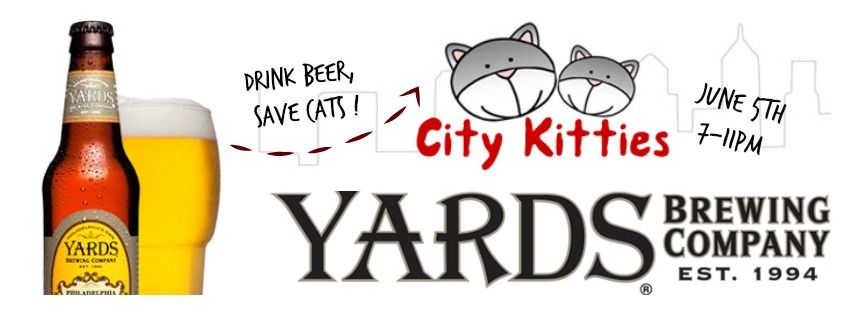 citykitties